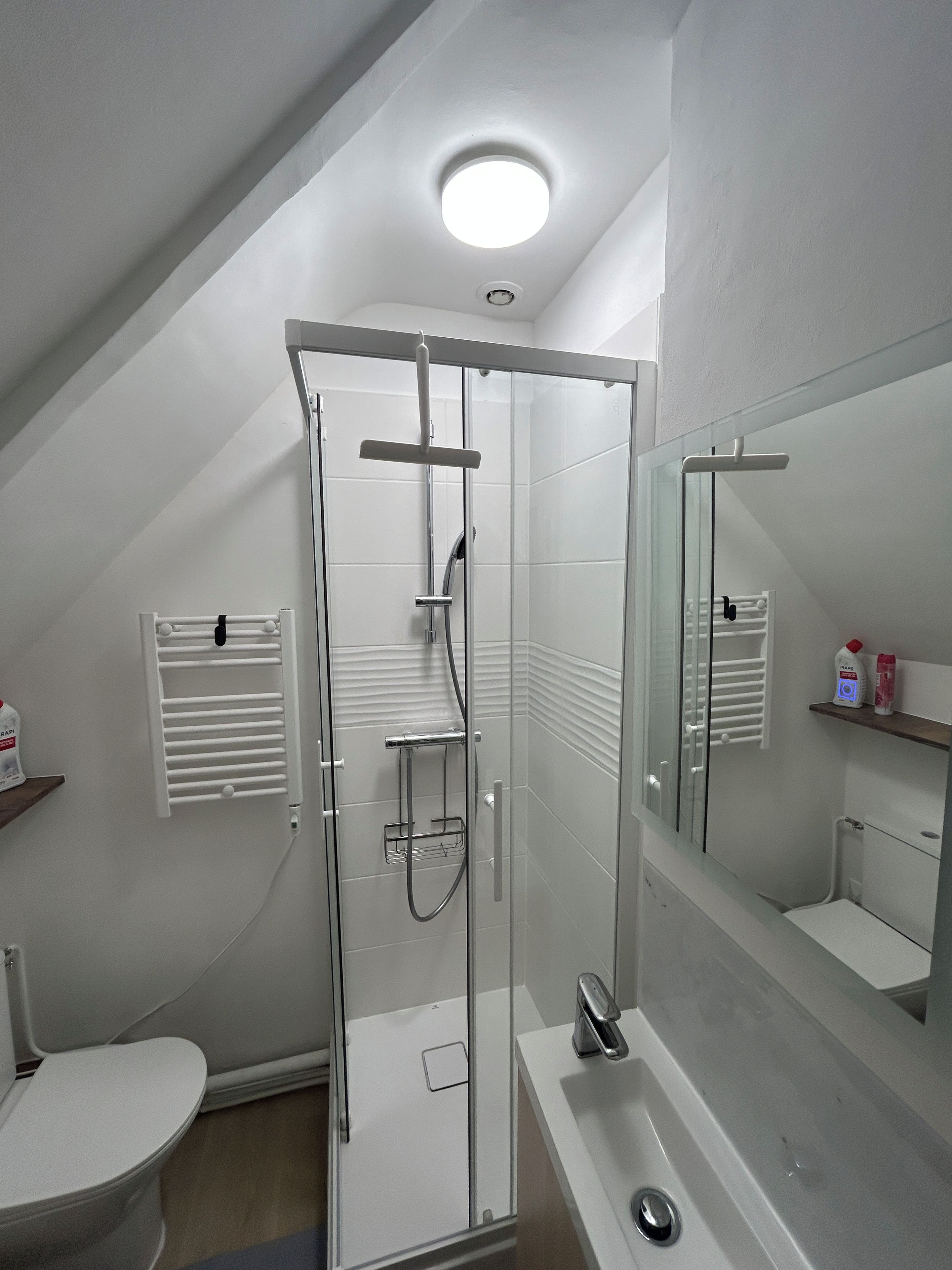 Et stilfuldt badeværelse med en glasbrusekabine, et hvidt toilet, en vask med spejl og en bøjle til håndklæder.
