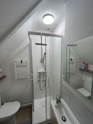 Et stilfuldt badeværelse med en glasbrusekabine, et hvidt toilet, en vask med spejl og en bøjle til håndklæder.