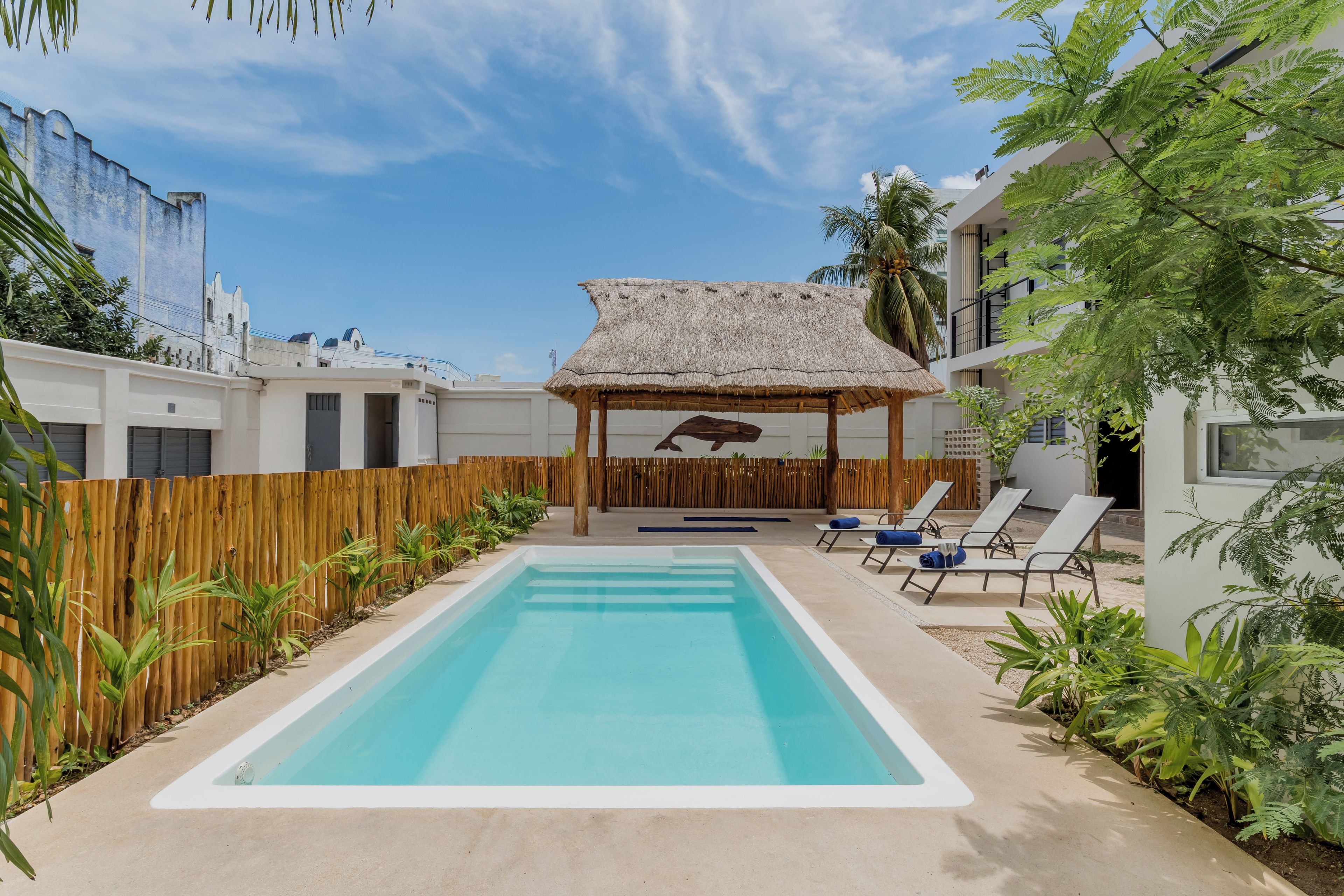 Estudio | Piscina