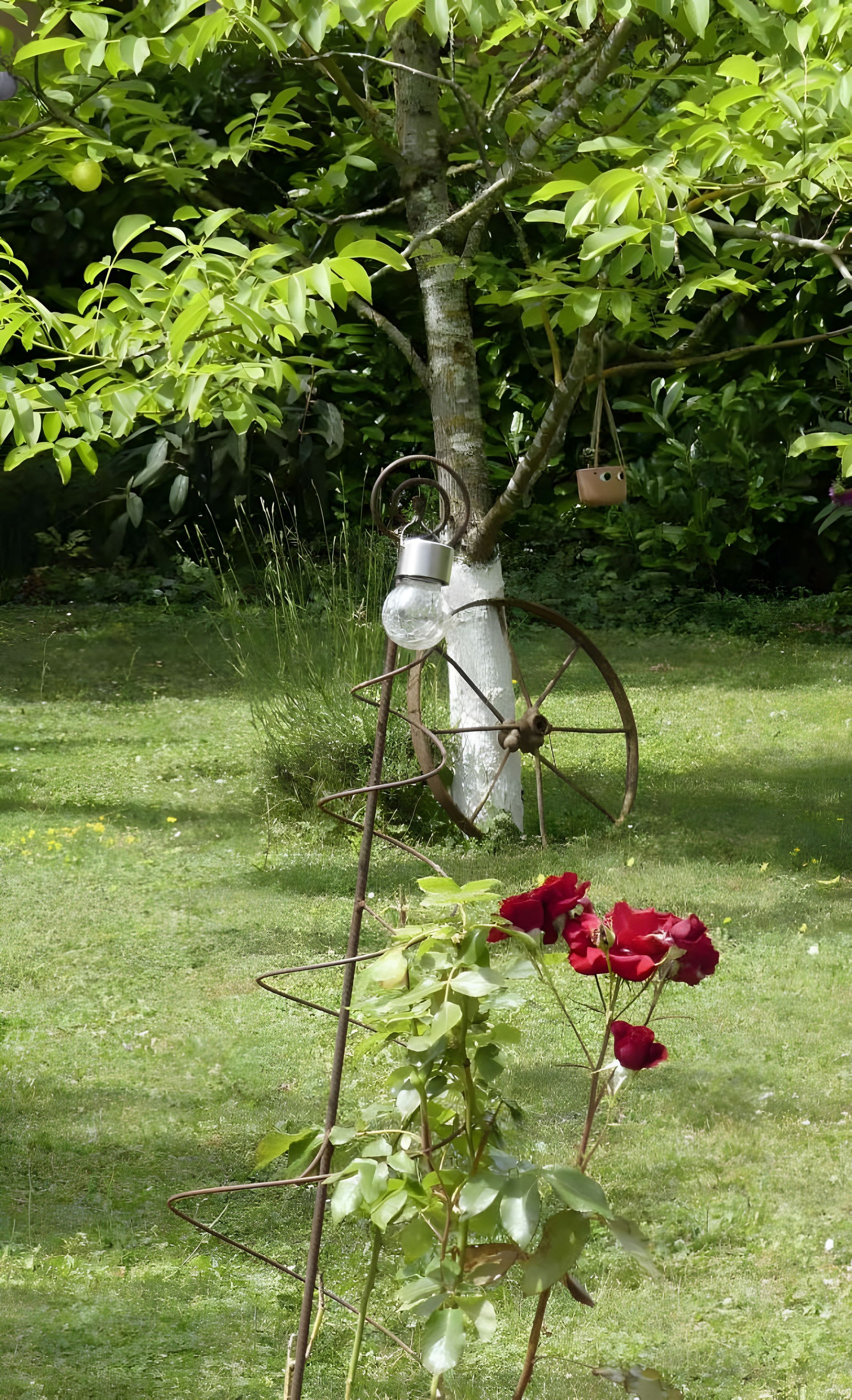 Ett träd med en metallkonstruktion och en hängande glödlampa.