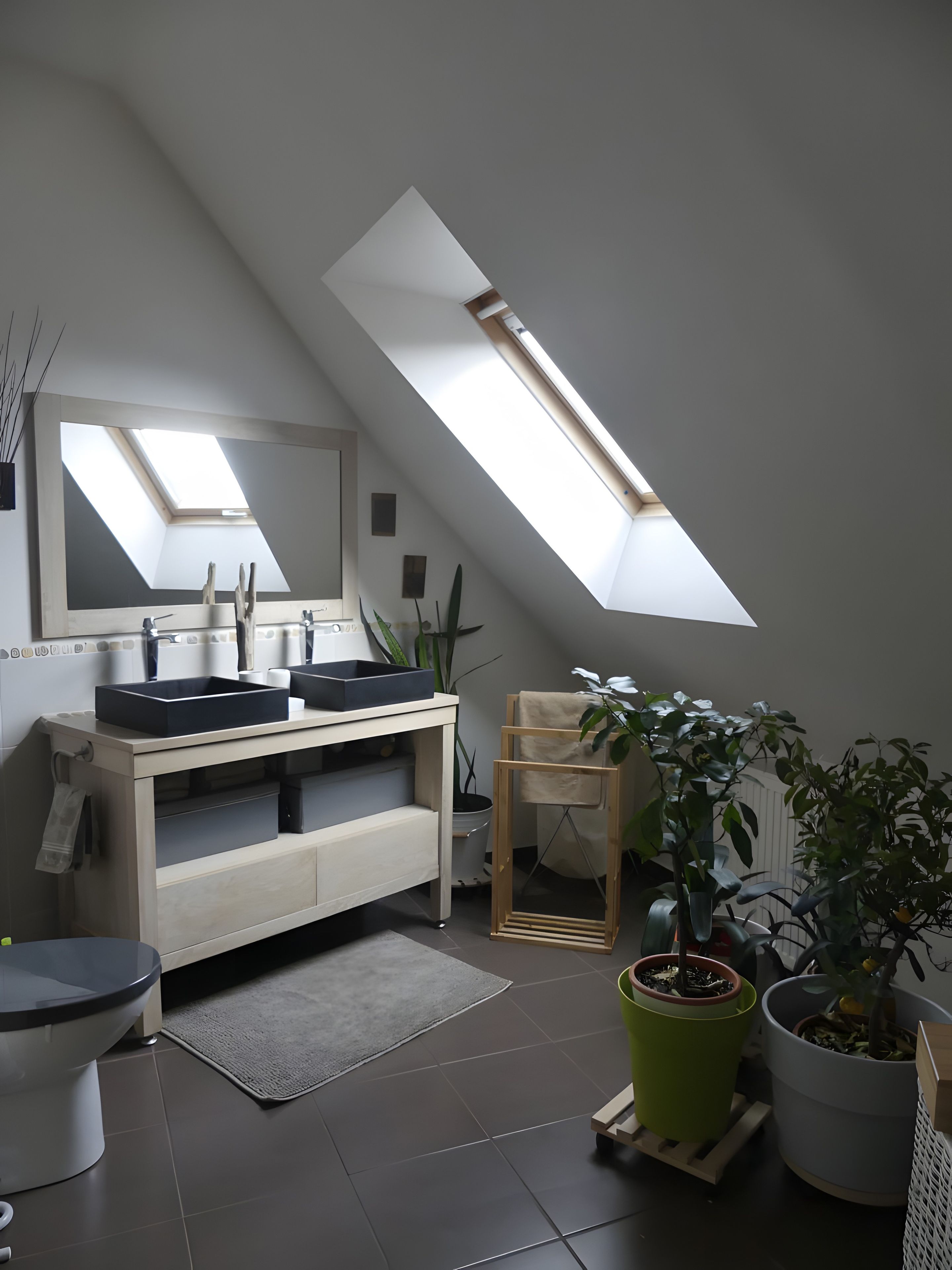 A modern bathroom with a skylight, a vanity with a mirror, and potted plants.