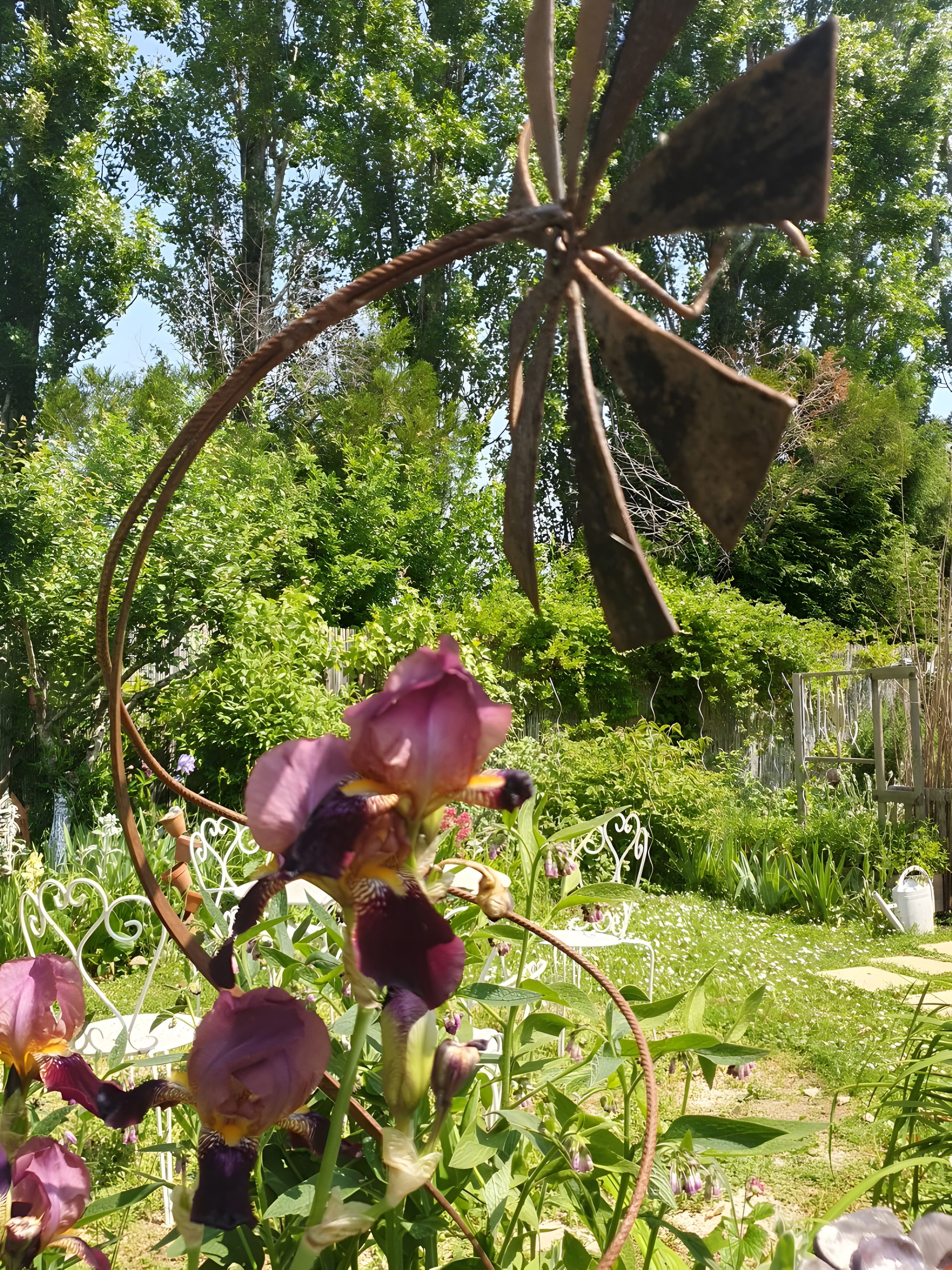 Een tuin met verschillende planten en een metalen constructie.