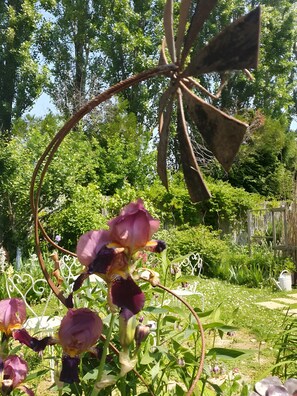 Ein Garten mit verschiedenen Pflanzen und einer Metallkonstruktion.