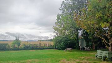 Eine grüne Wiese mit einer Bank und einem Baum.
