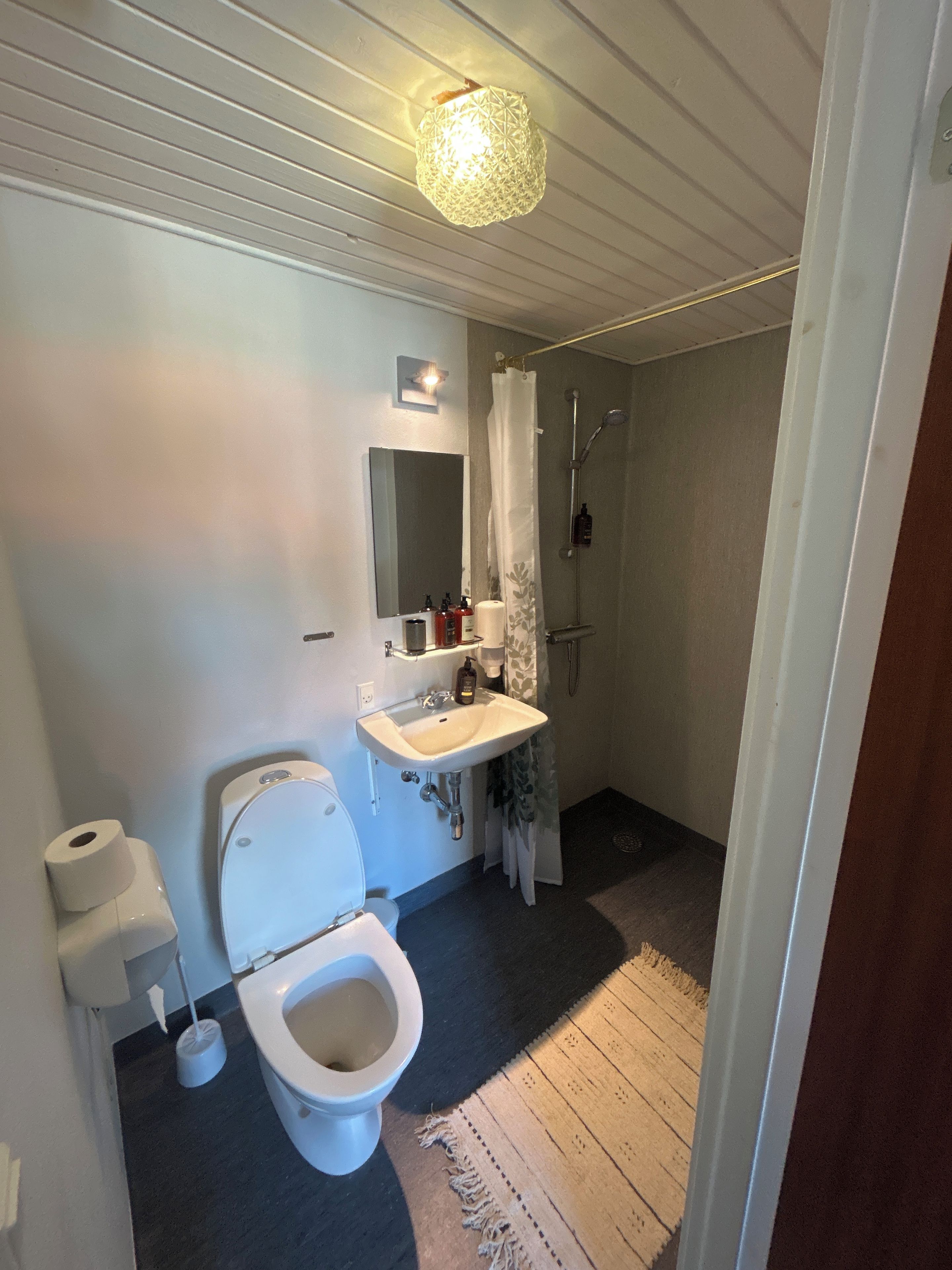 Un baño con inodoro, lavamanos, ducha y una lámpara en el techo.