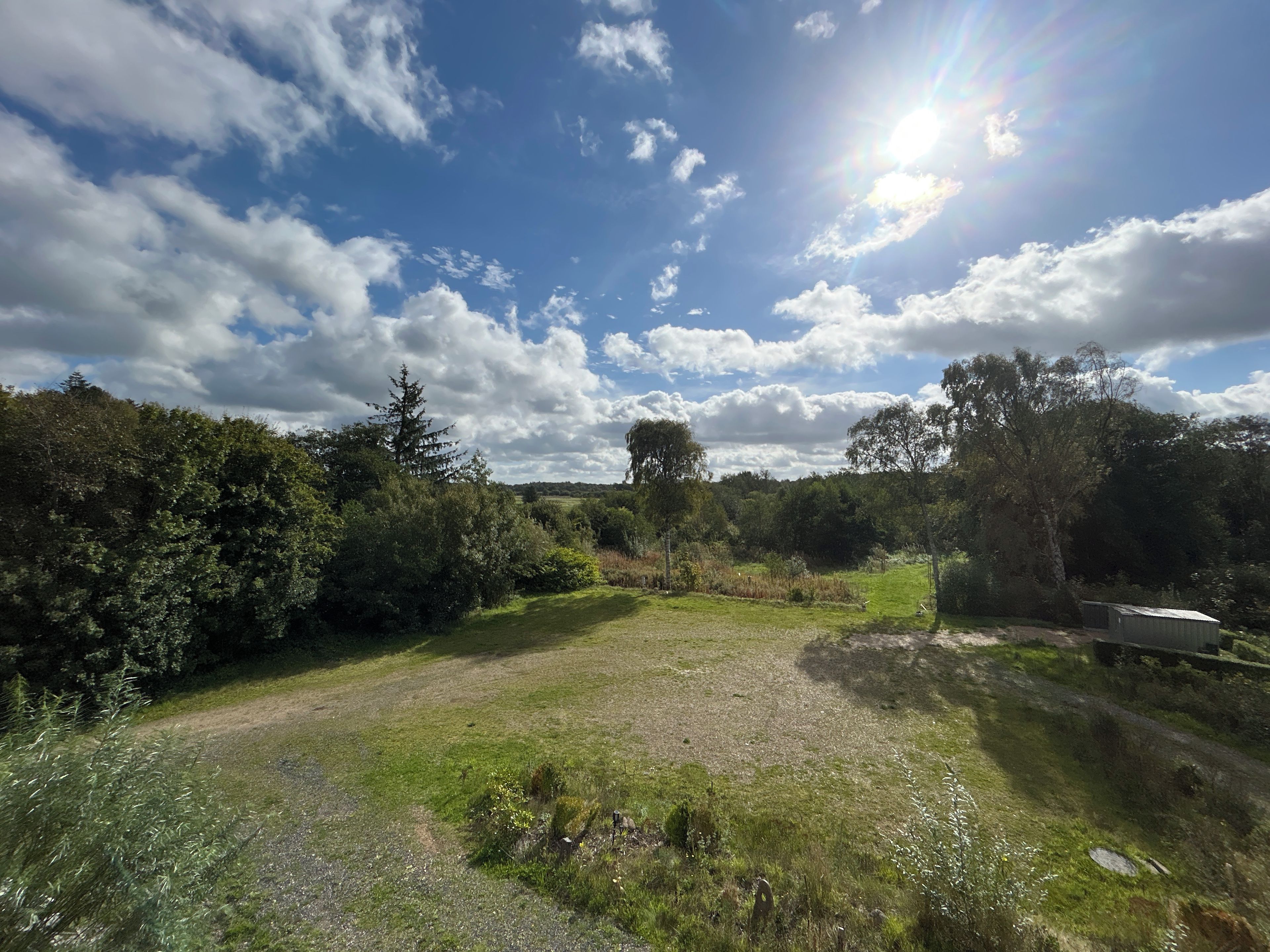 A natural landscape with a grassy area, trees, and a small shed.