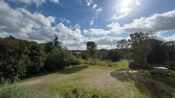 A natural landscape with a grassy area, trees, and a small shed.