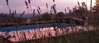 Adults-Only Bed & Breakfast: Experience, Wellness, Relaxation, and Privacy