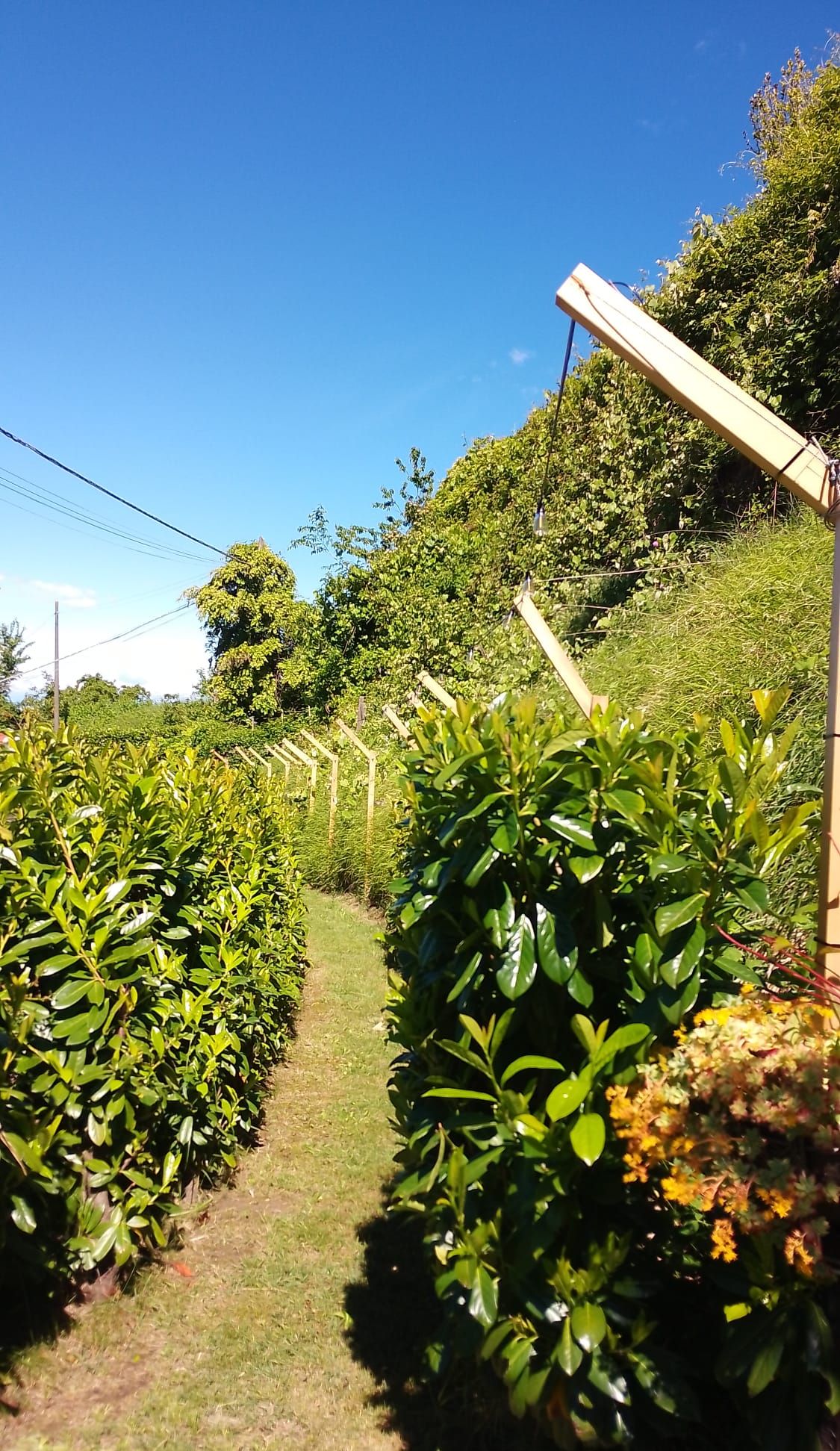 Parco della struttura