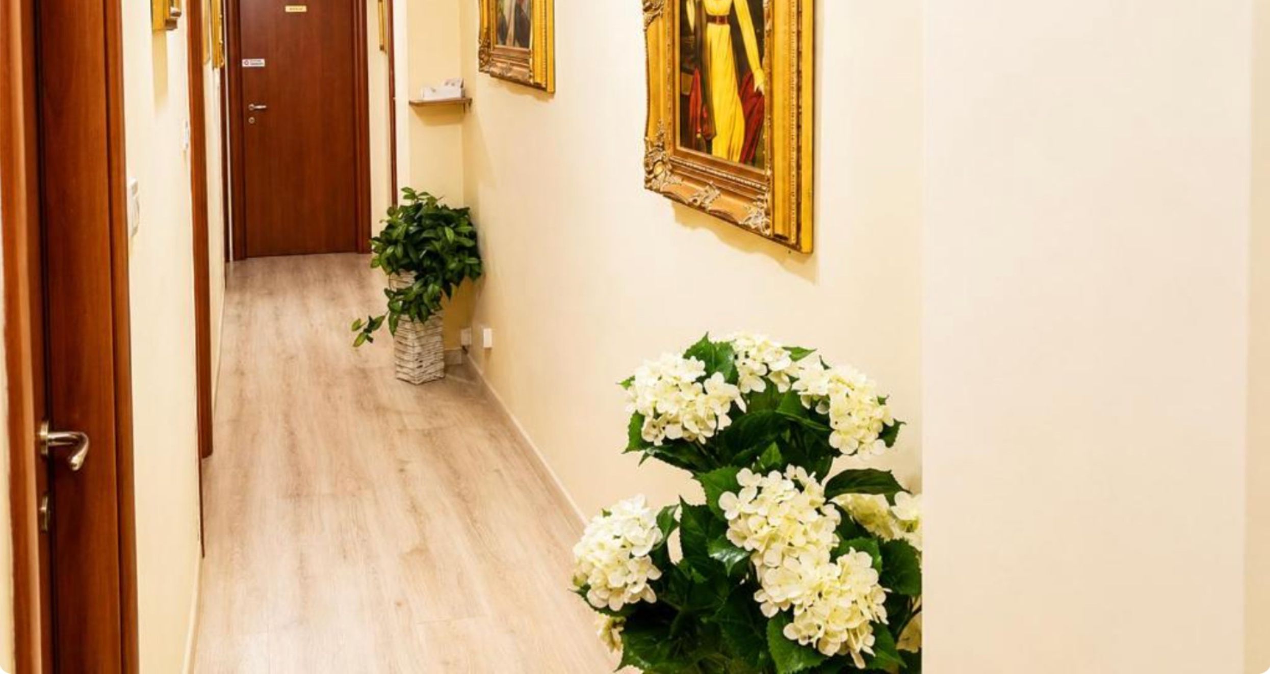 A hallway with a wooden door, a potted plant, and a wall-mounted picture frame.