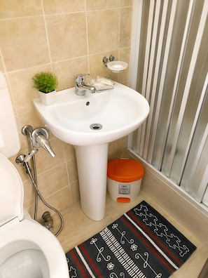 A bathroom with a white sink, a small potted plant, a toilet, and a shower area.