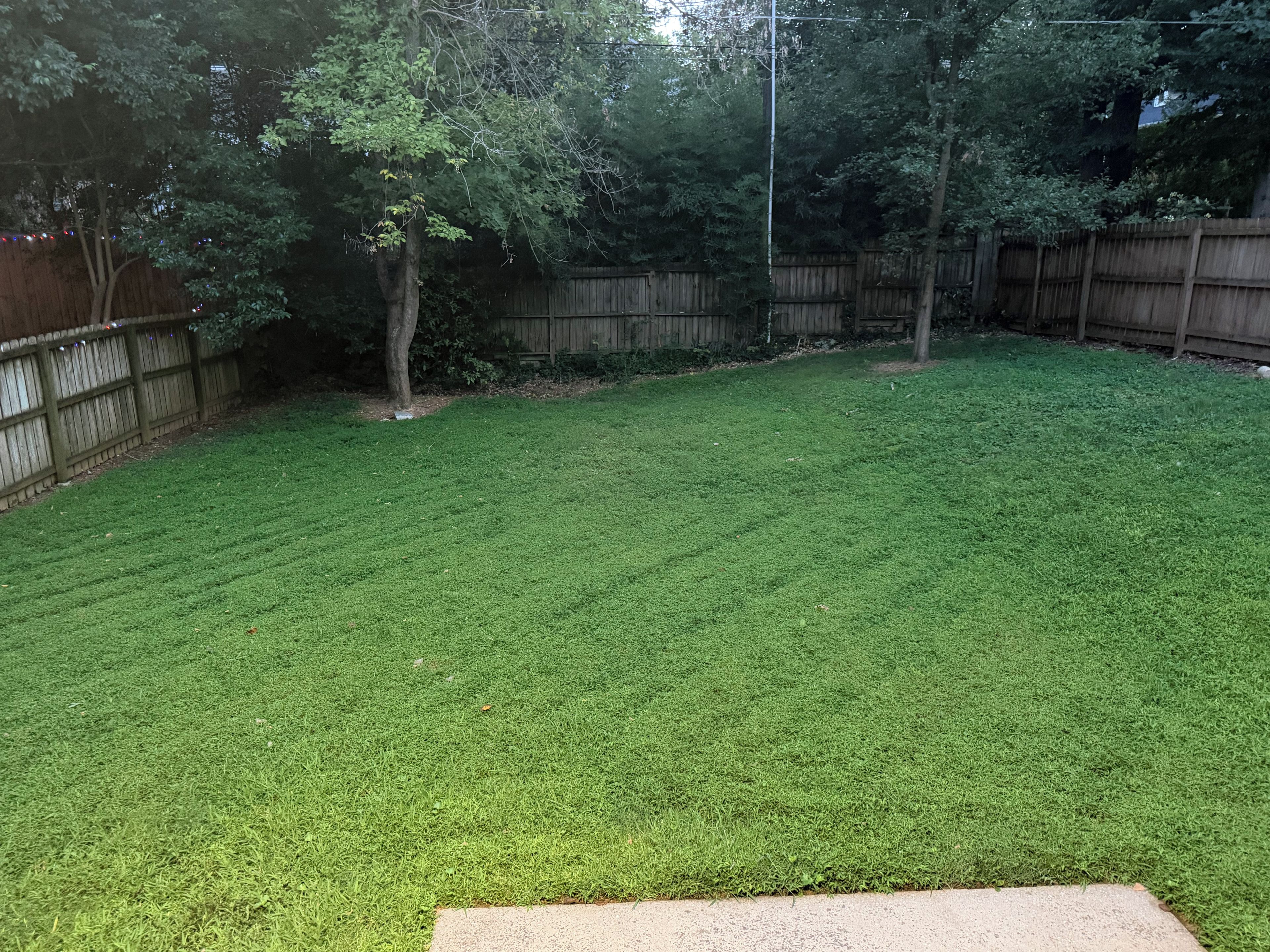 A well-maintained grassy backyard with a wooden fence and trees.