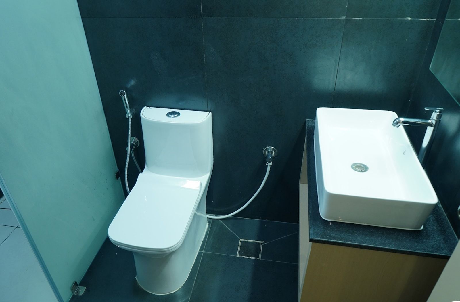 A bathroom with a toilet and a sink.