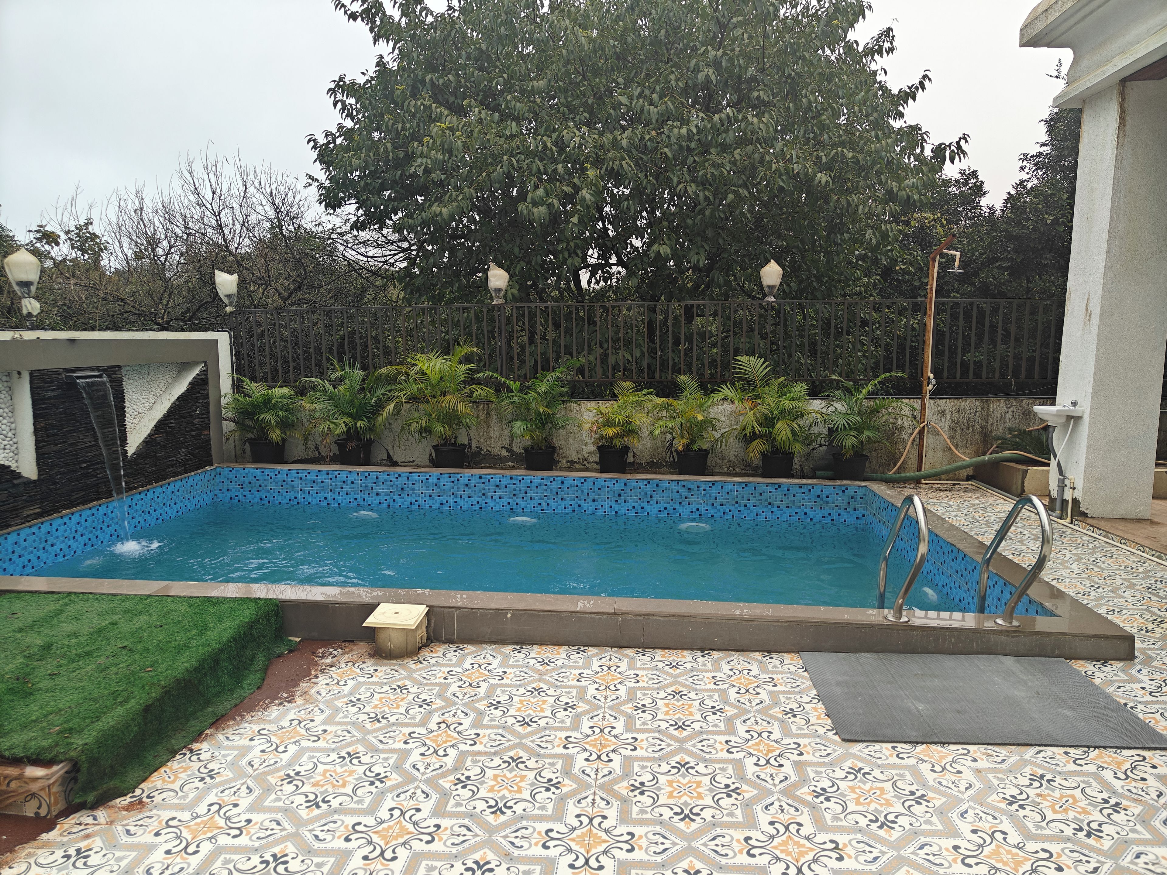 Une piscine dont le bord est recouvert de carreaux, entourée de plantes en pot et d’une clôture décorative.