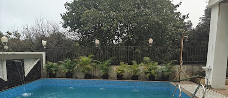 Una piscina con borde de azulejos, rodeada de plantas en macetas y una valla decorativa.