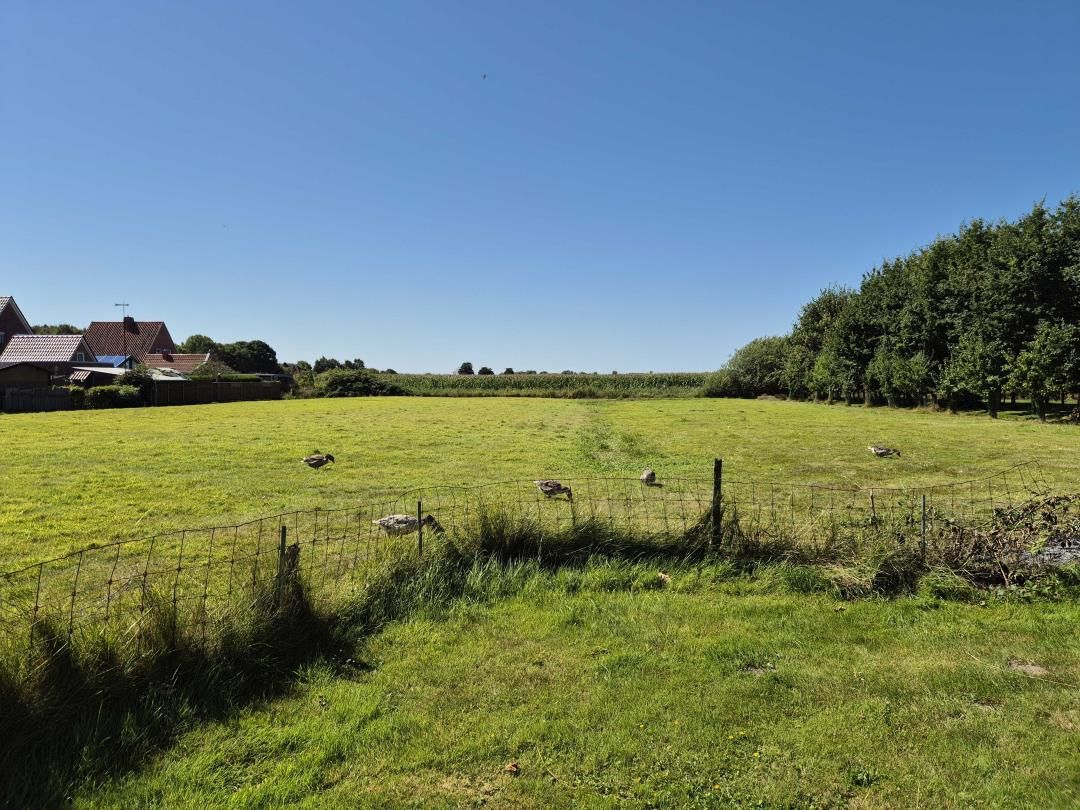 A rural landscape with a fenced field, a house, and a line of trees.