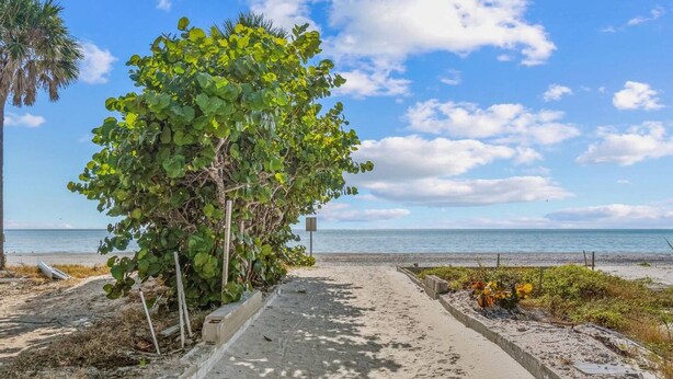 Un sendero de concreto que lleva a una playa con una palmera y vistas al océano.
