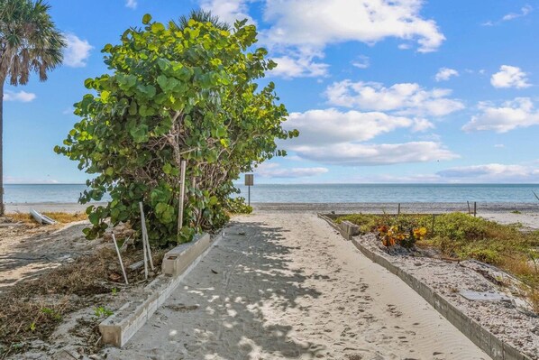 A concrete pathway leading to a beach with a palm tree and a view of the ocean.