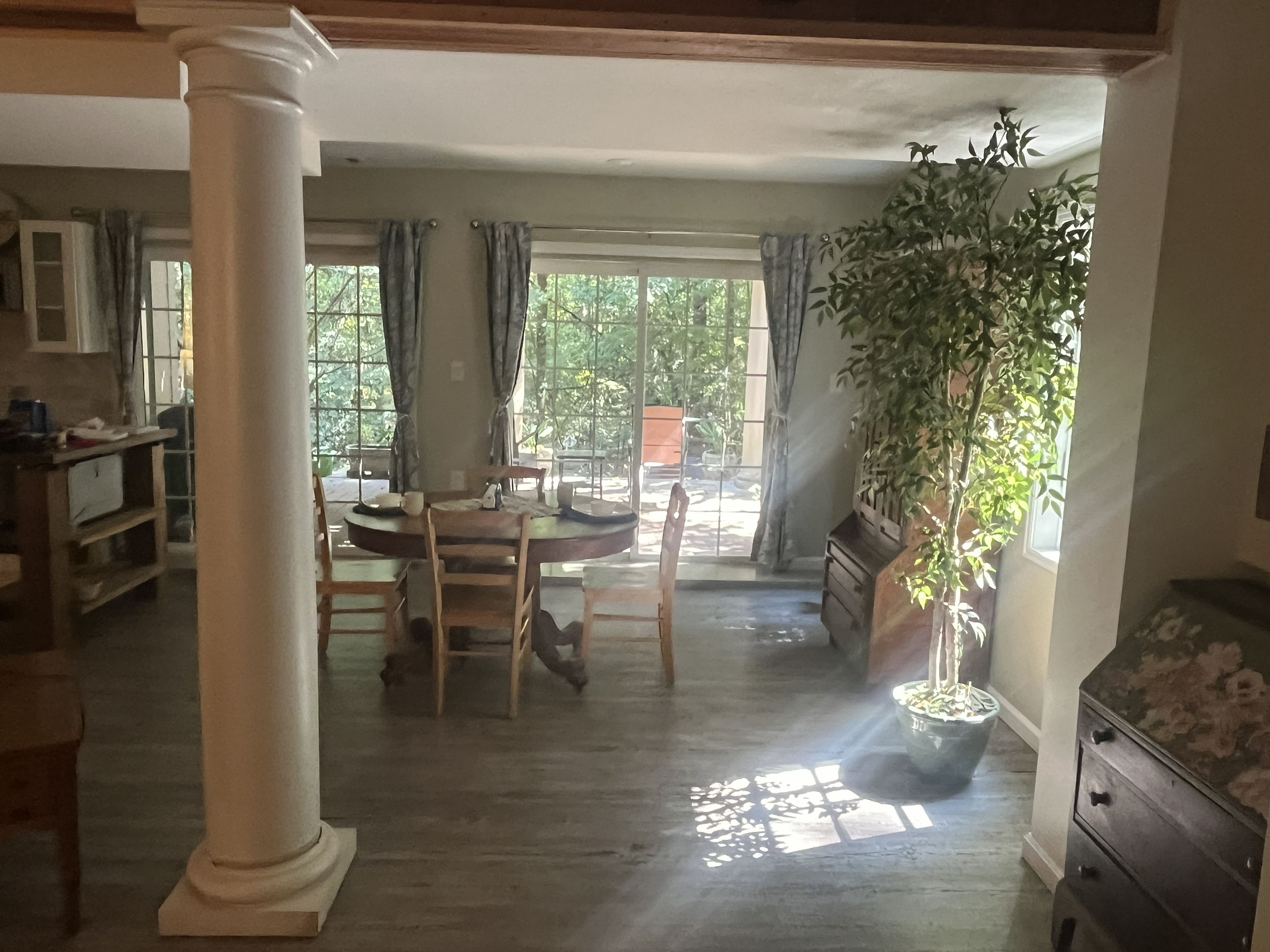 Une pièce comprenant une table à manger, des chaises, une plante en pot et une vue par la fenêtre.