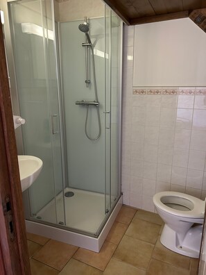 Une cabine de douche fermée par des parois en verre, équipée d’un pommeau de douche à main et d’un flexible de douche à main.