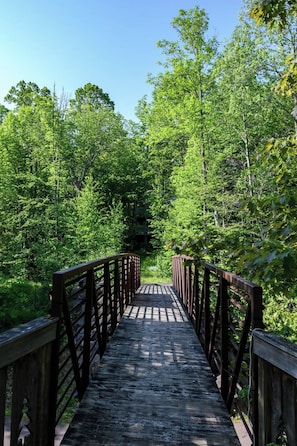 A wooden bridge surrounded by dense green foliage.