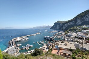 Un pueblo costero con un puerto deportivo, barcos y edificios.