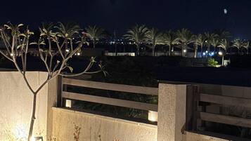 Vue nocturne d’un espace paysager agrémenté d’un banc, de palmiers et d’un petit muret.