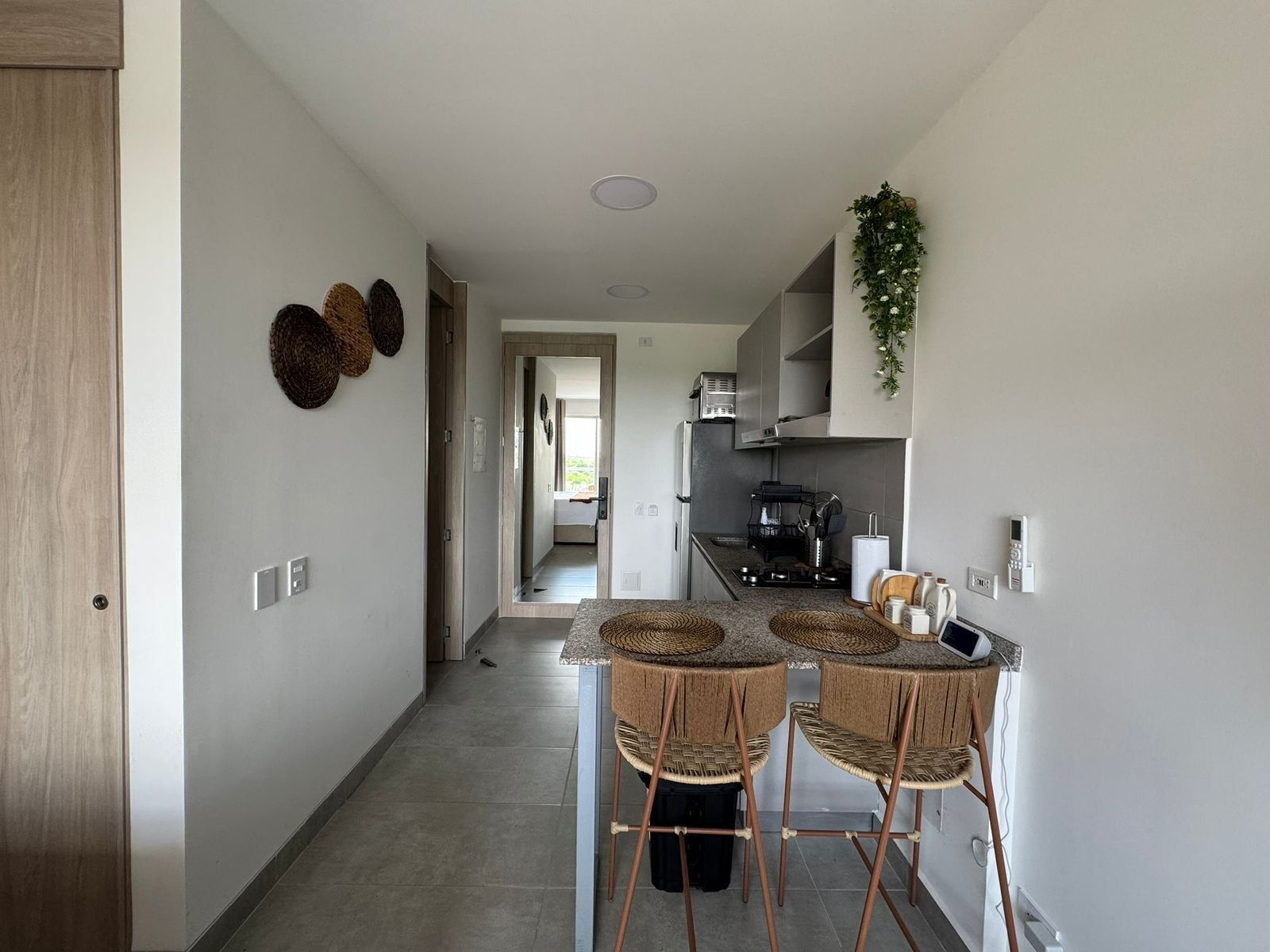 A modern kitchen with a central island, stainless steel appliances, and a hanging plant.