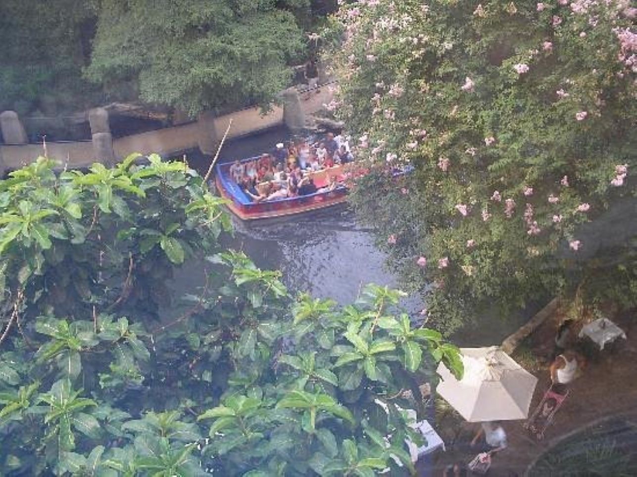Ein Boot mit Passagieren auf einem Fluss, umgeben von üppigem Grün.