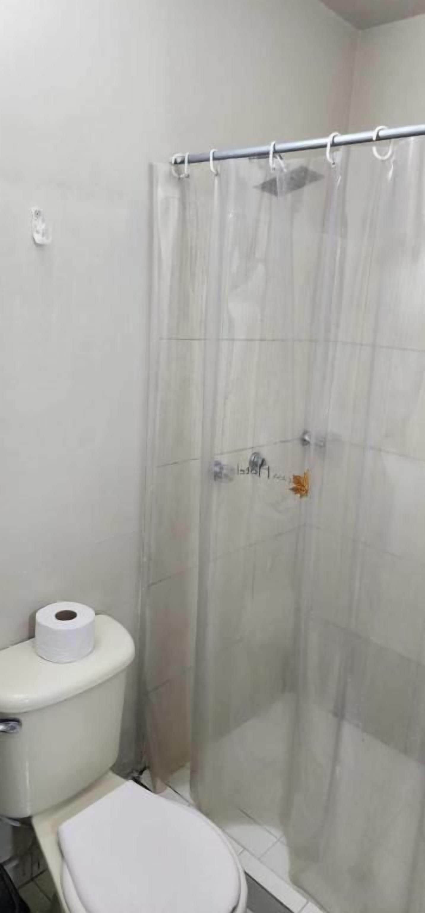 A bathroom with a toilet, a shower curtain, and a roll of toilet paper.