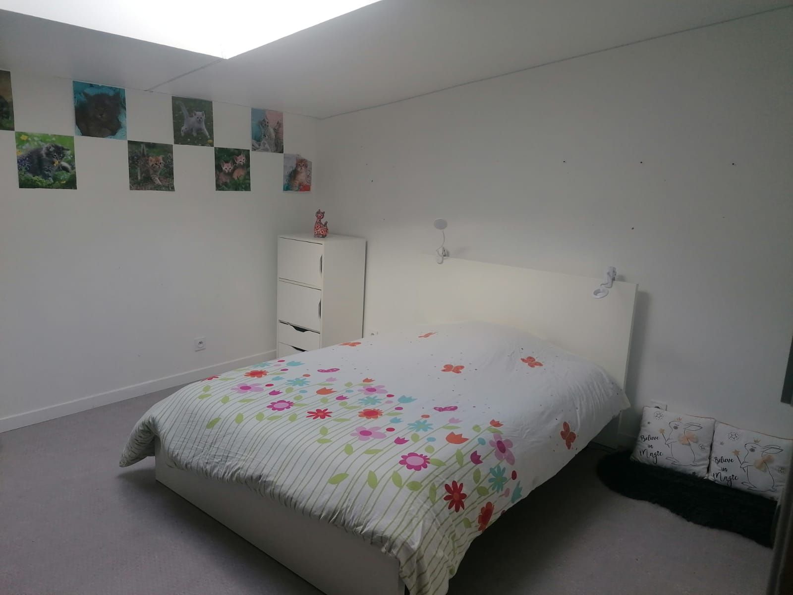 A bedroom with a bed, a dresser, and a wall with animal posters.
