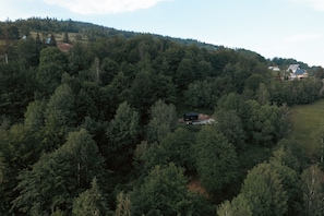 A forested area with a small cabin surrounded by dense trees. - Intimate cozy cabin with hot tub in Apuseni Mountains (Mătișești)
