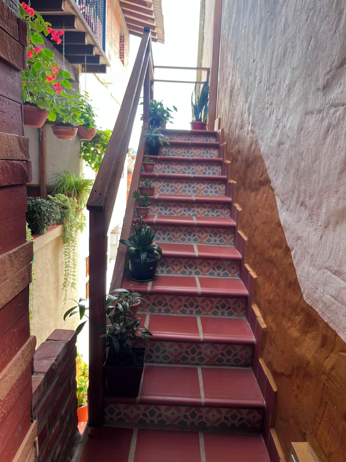 Un escalier étroit, orné de carreaux décoratifs et agrémenté de plantes en pot.