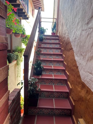 Un escalier étroit, orné de carreaux décoratifs et agrémenté de plantes en pot.