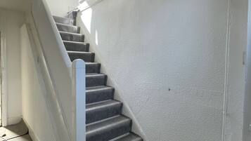 En trappa med ett ledstång, steg klädda med matta och en dörrmatta längst ner.