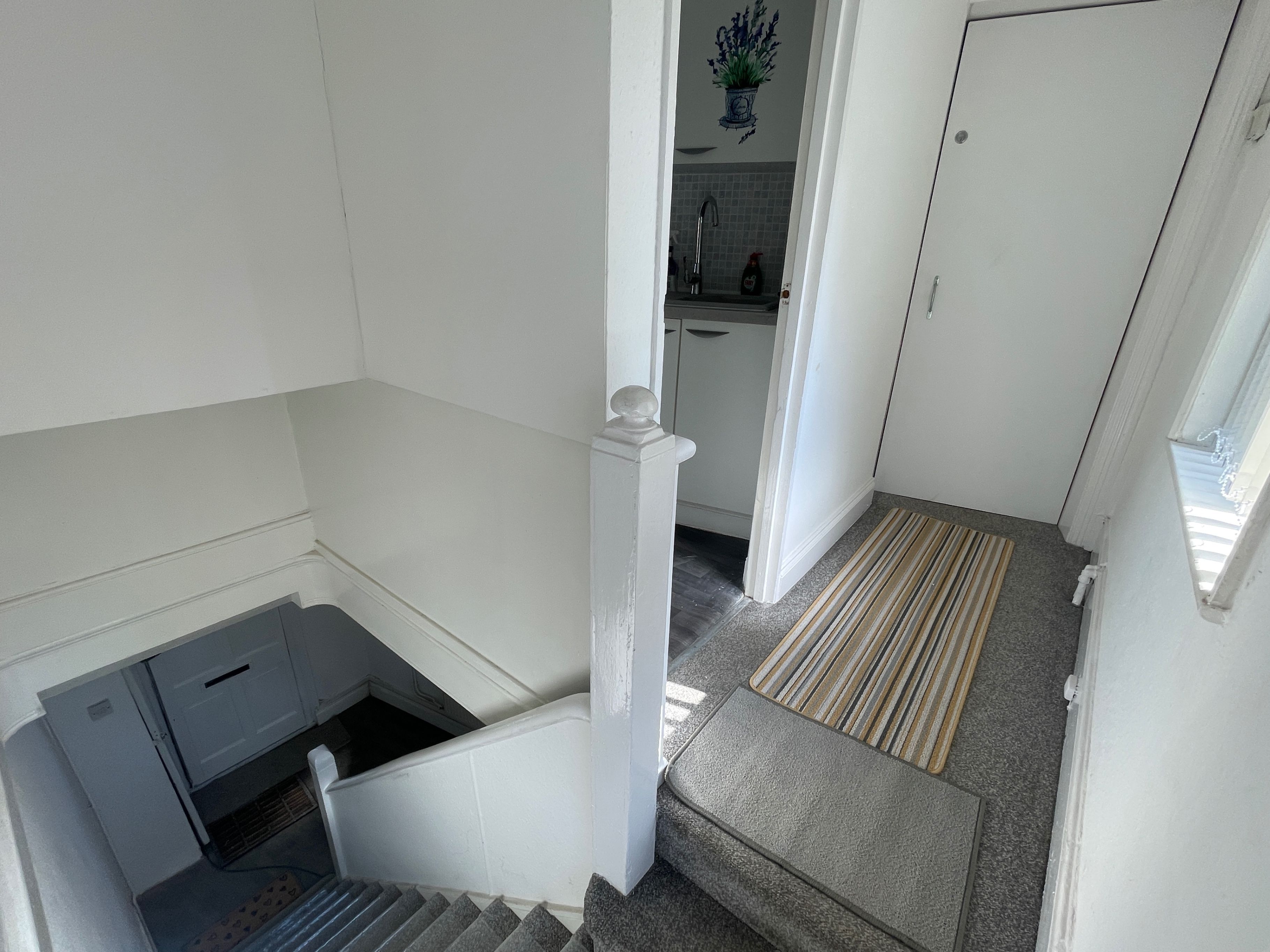 Una scala conduce a una zona cucina con una porta bianca e una pianta in vaso appesa al muro.