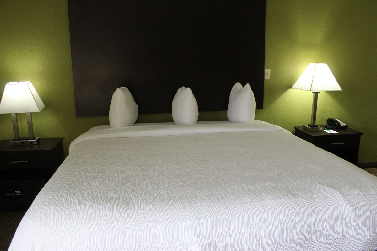 Habitación de hotel con una cama grande, dos mesitas de noche y dos lámparas.