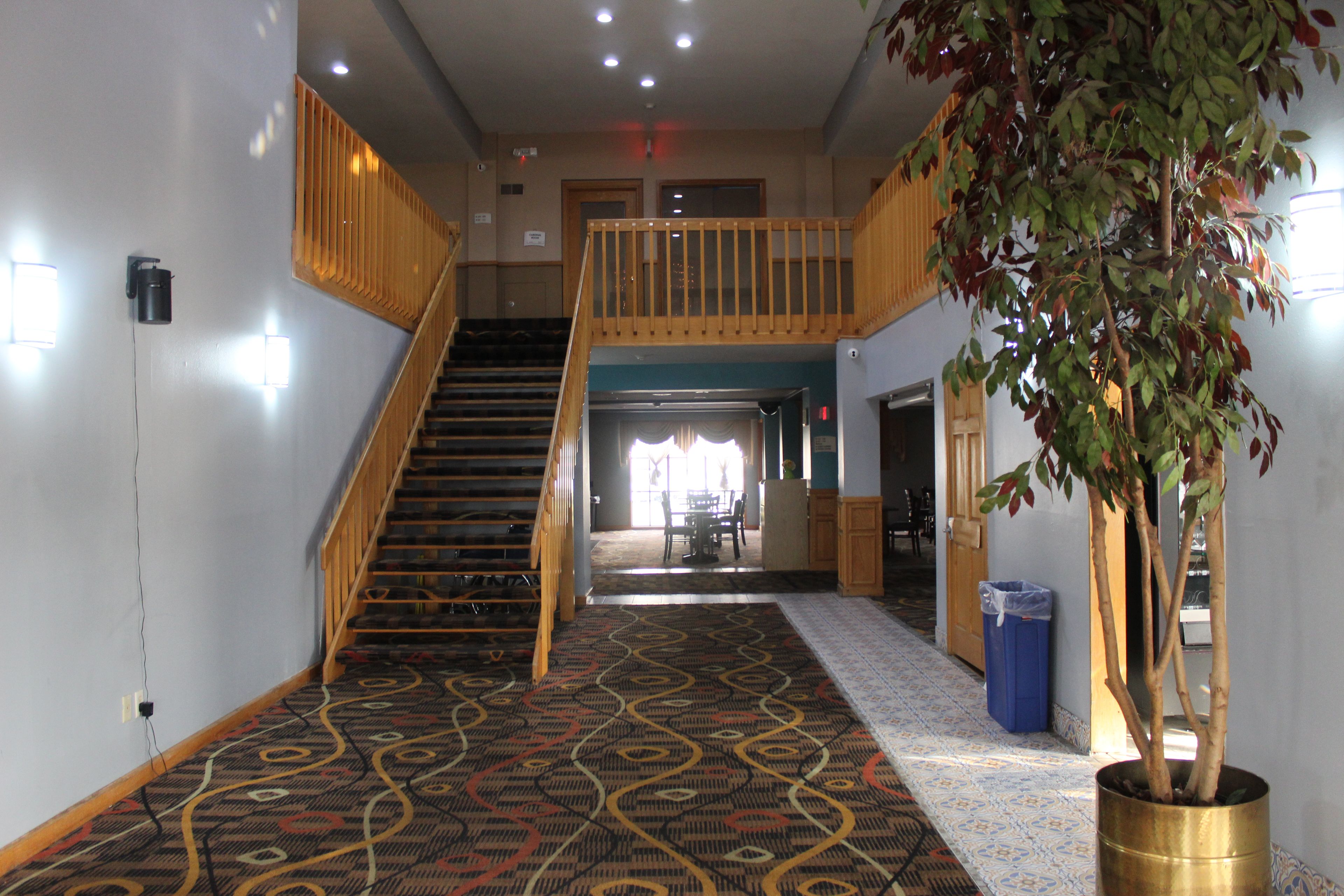A hotel hallway with a carpeted floor, a staircase, a plant, and a trash bin.