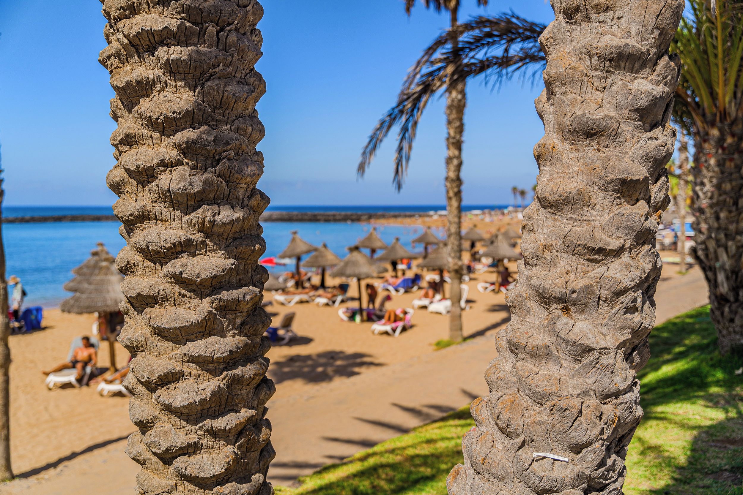Escena de playa con palmeras, sombrillas y gente relajándose en la arena.