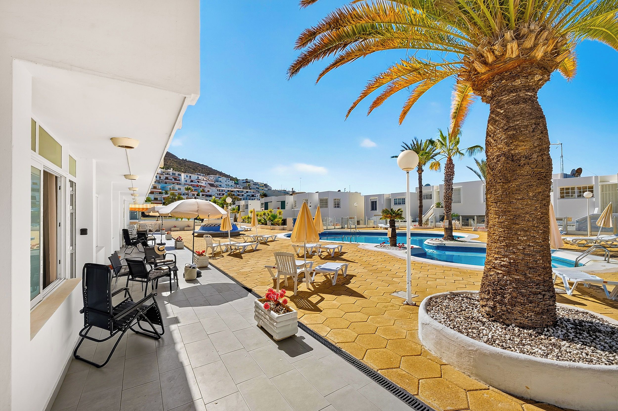 Une terrasse d’hôtel avec une piscine, des chaises longues et un palmier.