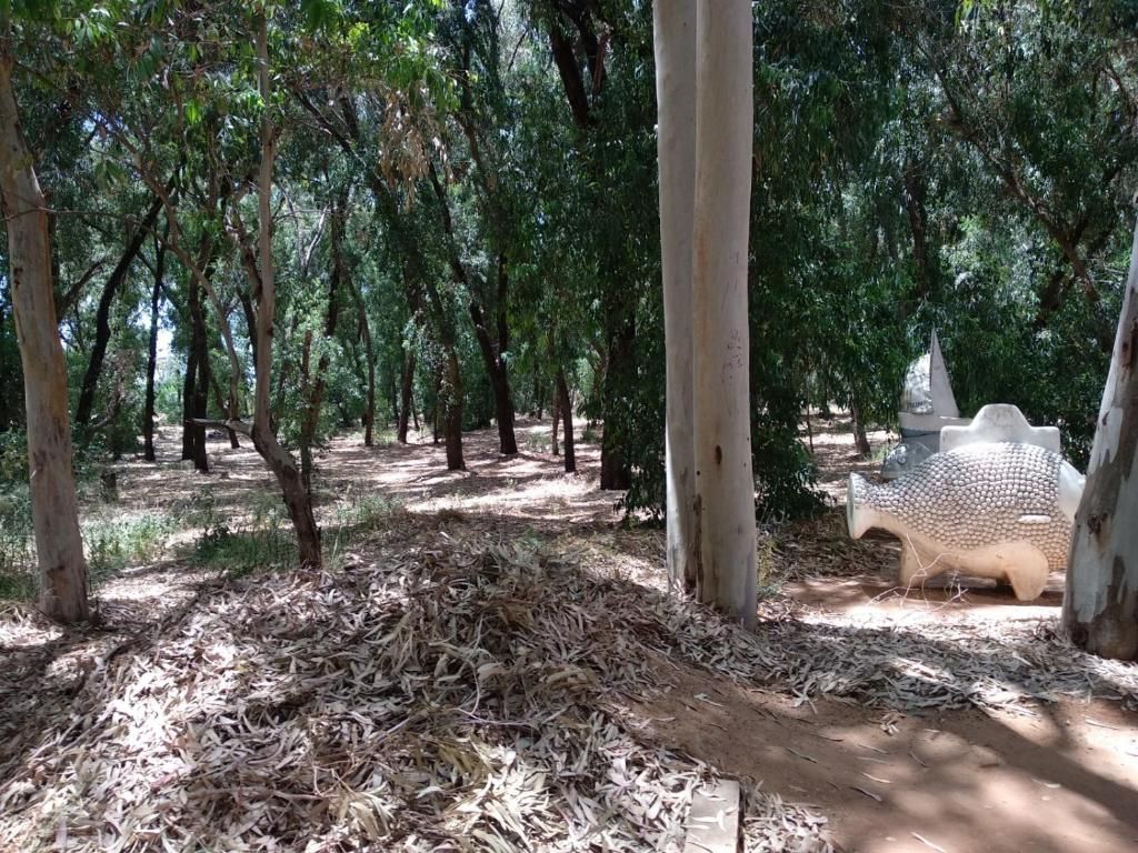 Uma área arborizada com uma trilha de terra e uma grande estrutura branca em forma de cúpula.