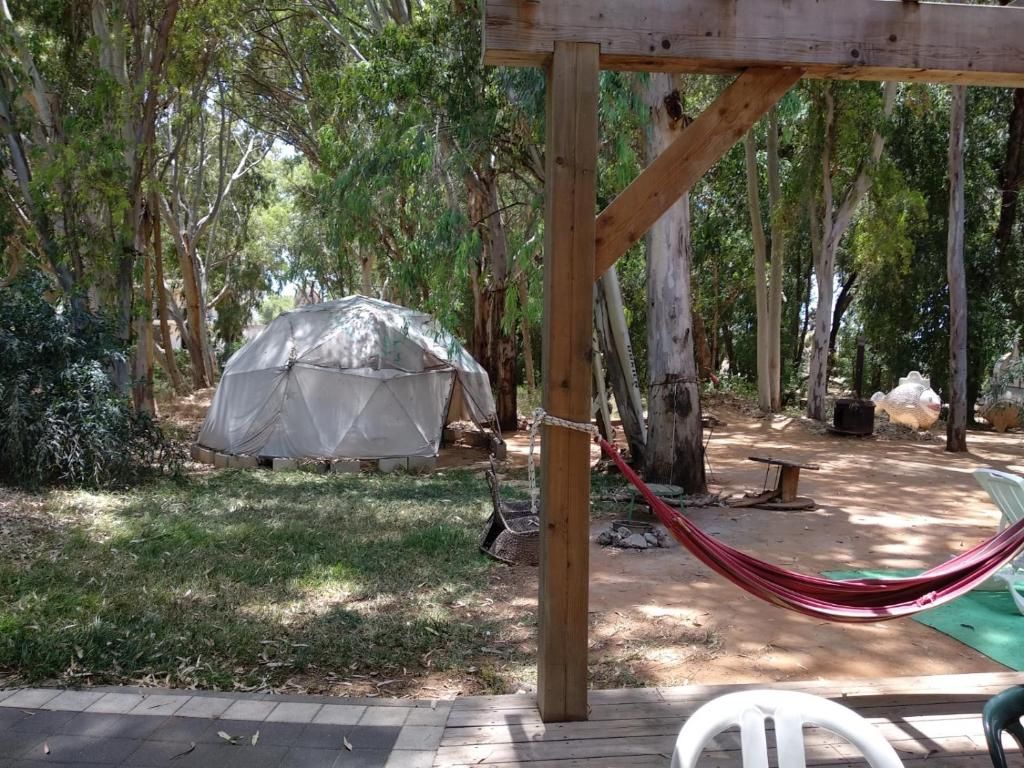 A hammock under a wooden structure, a covered seating area, and a tent in a wooded setting.