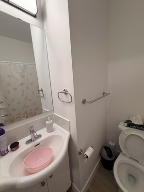 A bathroom with a white sink, a mirror, a toilet, and a shower curtain. - Spacious well equipped bedroom and private washroom with a private entrance. (Winnipeg)