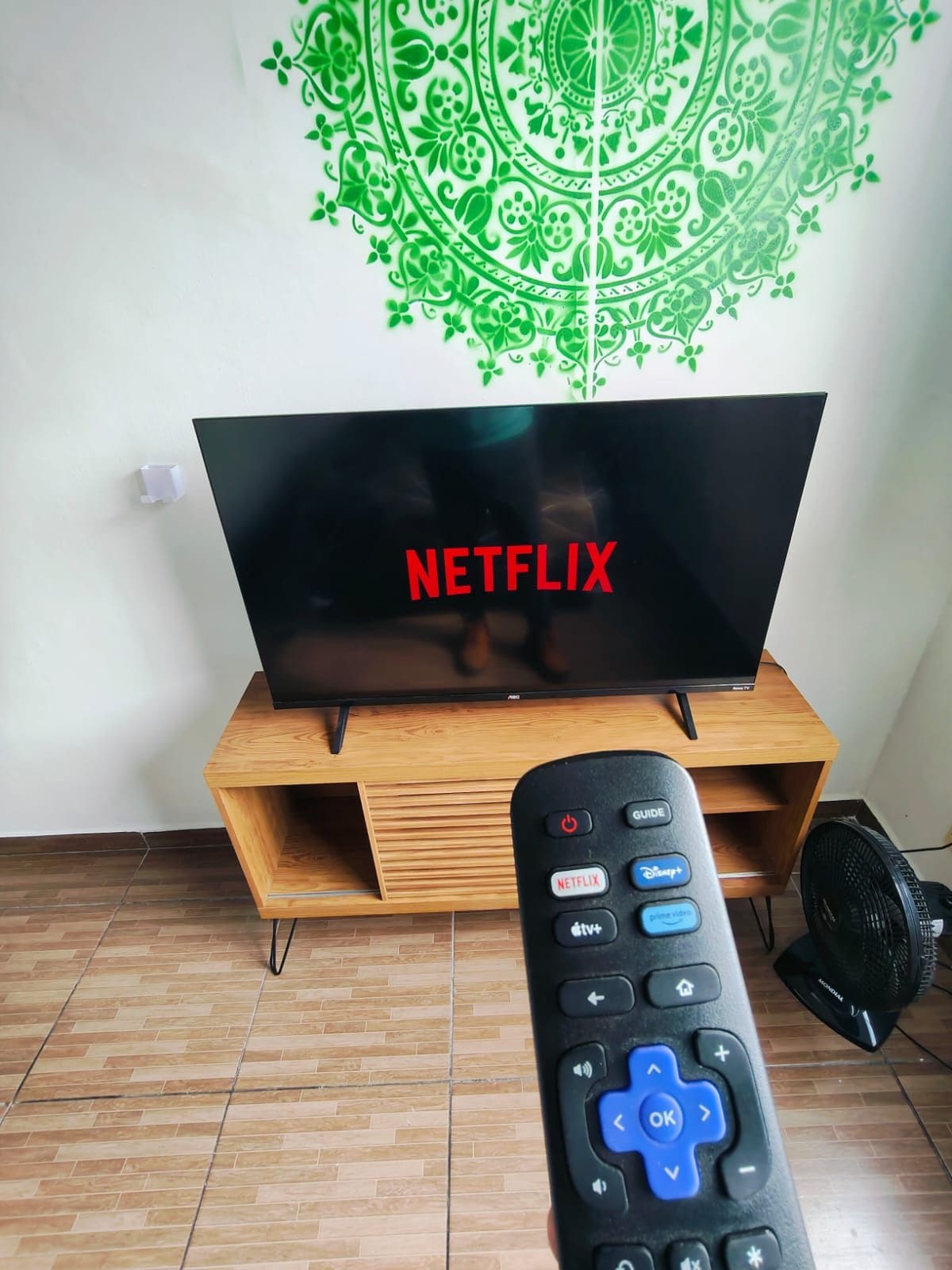 Television