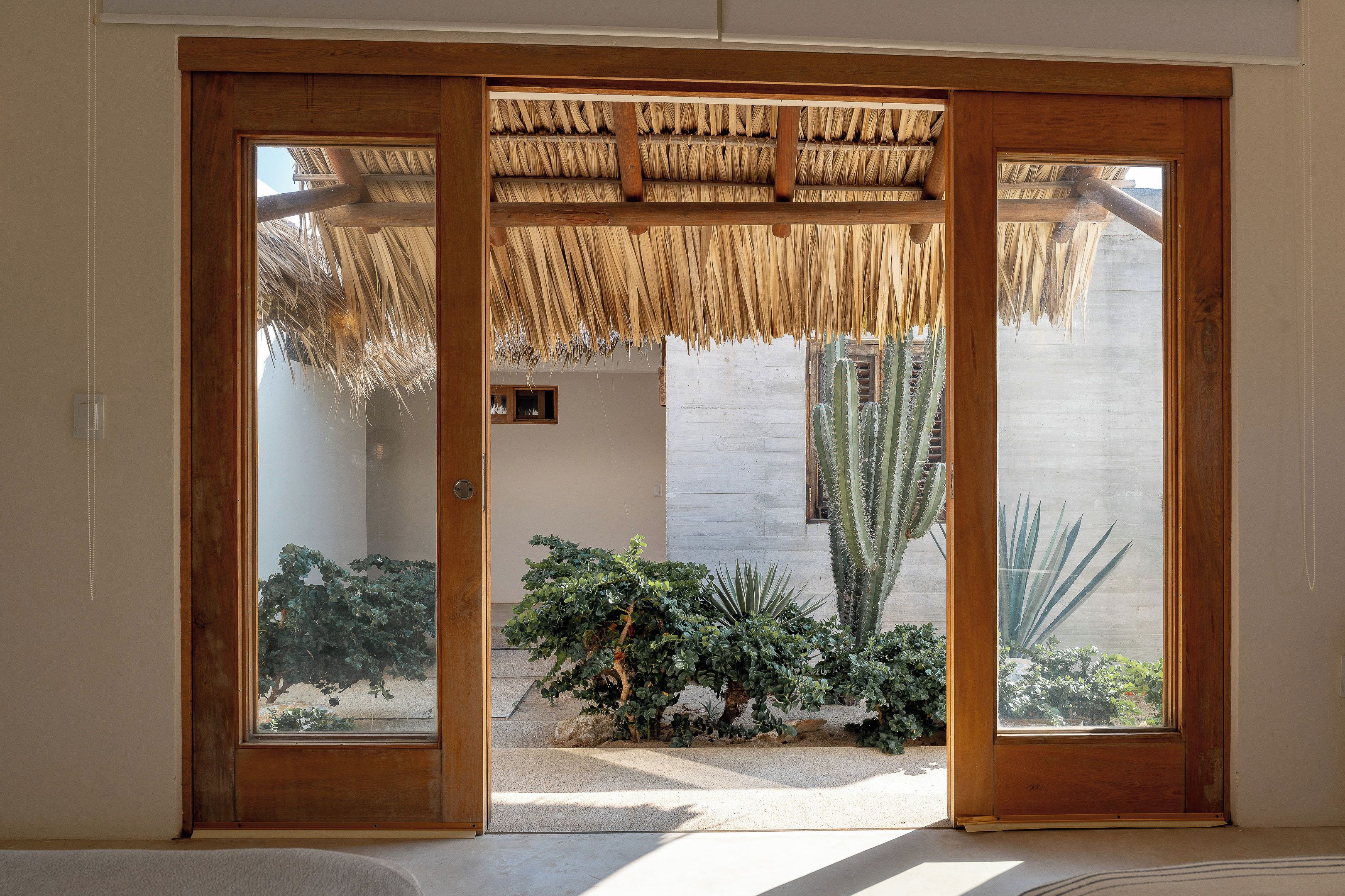 Puerta de madera con techo de paja trenzada, que da a un patio con cactus y una planta pequeña.