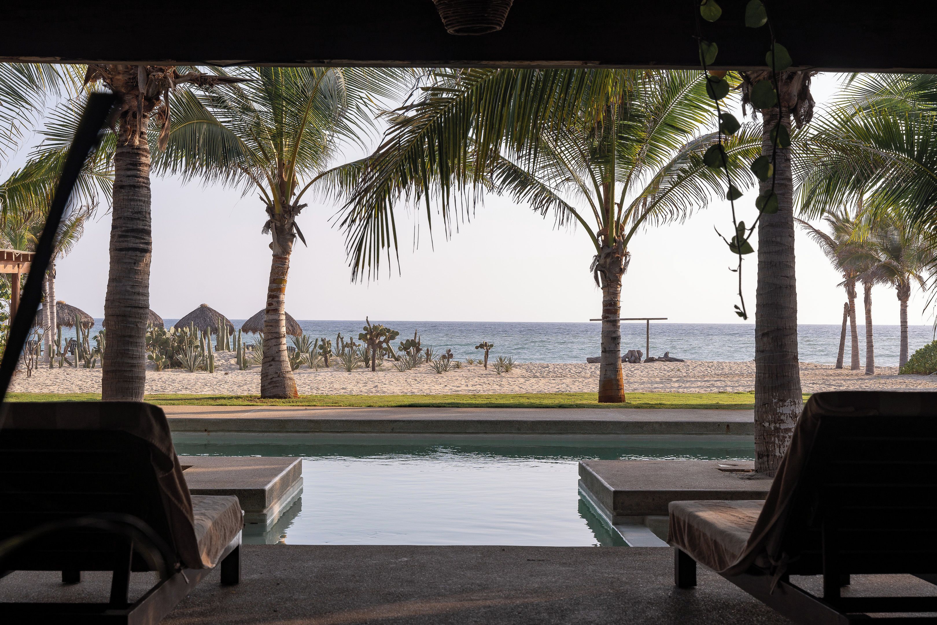 Vista a la piscina con sillas de descanso, palmeras y una playa al fondo.