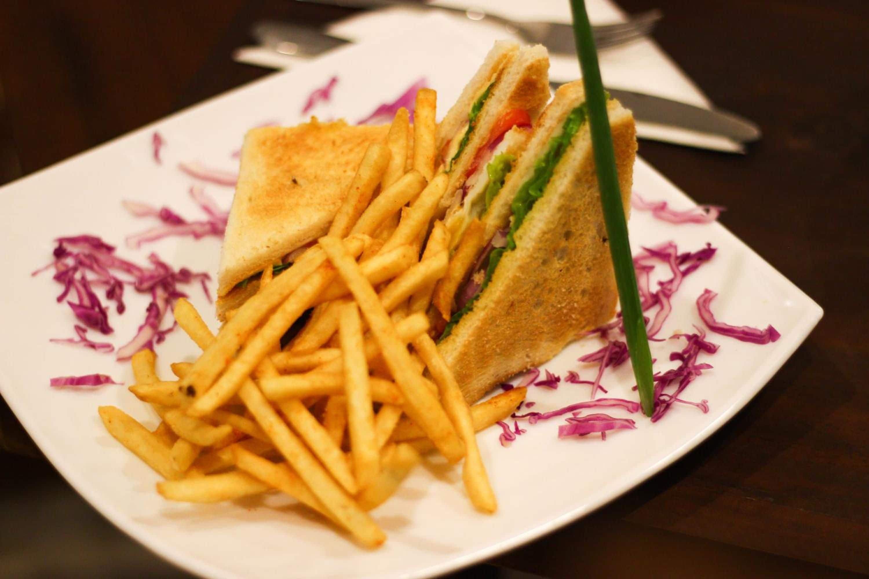 A plate with a sandwich and fries.