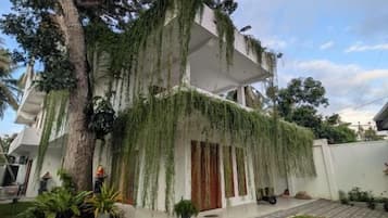 Una casa de dos pisos con un porche cubierto, un sendero pavimentado y un gran árbol.