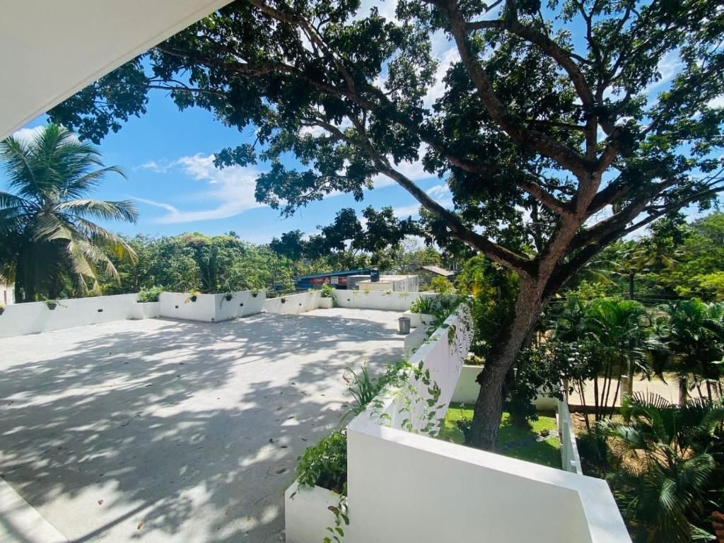 Une cour avec un grand arbre, des murs blancs et une vue sur un bâtiment situé au loin.
