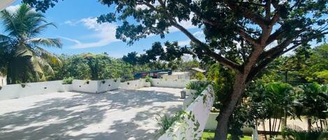Un patio con un árbol grande, paredes blancas y vista a un edificio lejano.